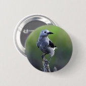 Clarks Nussknacker Button (Vorne & Hinten)