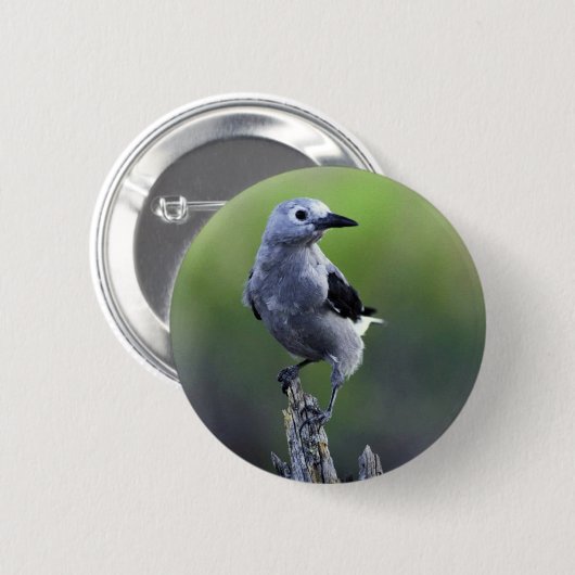 Clarks Nussknacker Button (Vorne & Hinten)