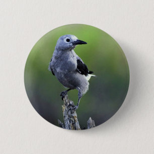 Clarks Nussknacker Button