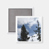 Clark's Nutcracker 2 x 2 magnet (Vorderseite/Rückseite)