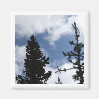 Clark's Nutcracker 2 x 2 magnet