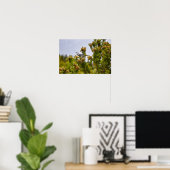 Clarks Nutcracker im Rocky Mountain Nationalpark Poster (Heimbüro)