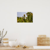Clarks Nutcracker im Rocky Mountain Nationalpark Poster (Küche)