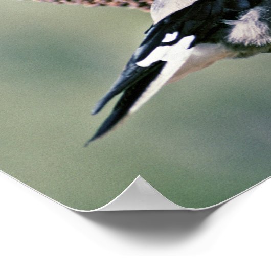 Clarks Nutcracker Poster (Ecke)