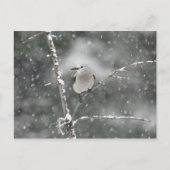 Clarks Nutcracker Postkarte (Vorderseite)