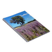 Clary Salin field in Frankreich Notizblock (Rechte Seite)