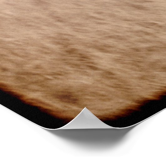 CLASSIC AMERICAN COWBOY c. 1888 Poster (Ecke)