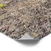 CLASSIC AMERICAN TRUCK LINEUP POSTER (Ecke)