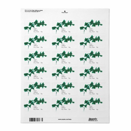 Classic Aquarell Green English Ivy Adressaufkleber (Vorne)