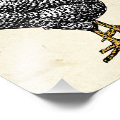 Classic Barred Plymouth Rock Chicken Hen Fotodruck (Ecke)