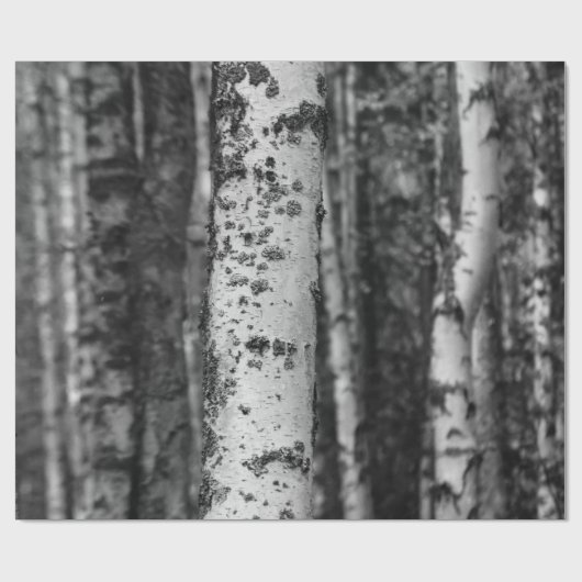 Classic Birch Forest Wrapping Paper Geschenkpapier (Flach)