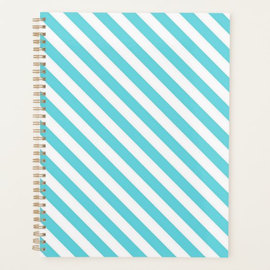 Classic blue and white diagonal stripes planer (Vorderseite)