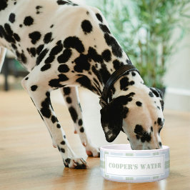 Classic Blue Green Plaid Pattern Name Dog Water Napf