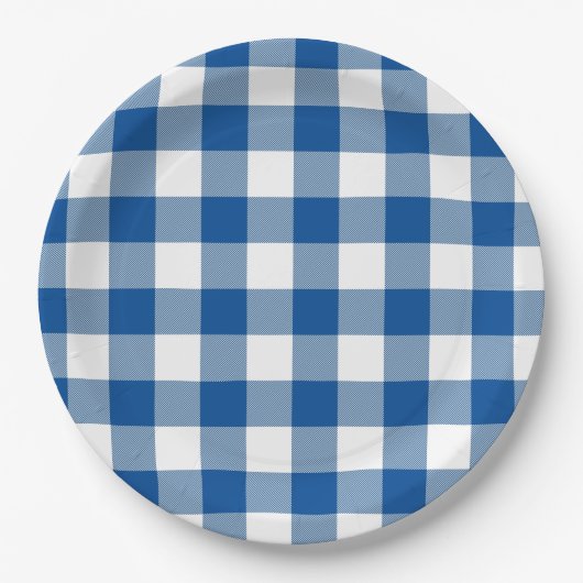 Classic Blue & White Gingham Summer Picnic Pappteller (Vorderseite)