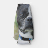 Classic Boston Terrier Dog Flaschenkühler (Vorderseite)