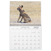CLASSIC BOTSWANA FOTO SAFARI KALENDER (Jan 2027)