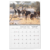 CLASSIC BOTSWANA FOTO SAFARI KALENDER (Feb 2026)