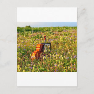 Classic Cello in einem Bereich von Wildblumen Postkarte