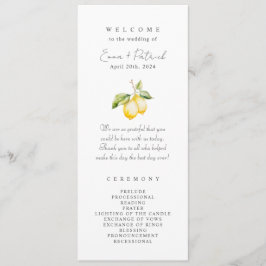 Classic Citrus Lemon Summer Wedding Programm