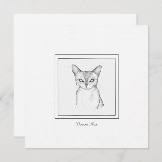 Classic Devon Rex Cat Chalk Zeichn Note Card Mitteilungskarte (Vorne/Hinten)