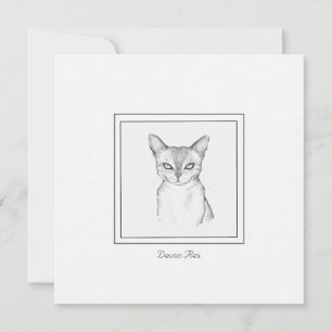 Classic Devon Rex Cat Chalk Zeichn Note Card Mitteilungskarte