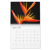 Classic, Familar Kalender (Feb 2026)