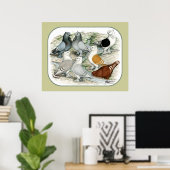 Classic Frill Barred Pigeons Poster (Heimbüro)