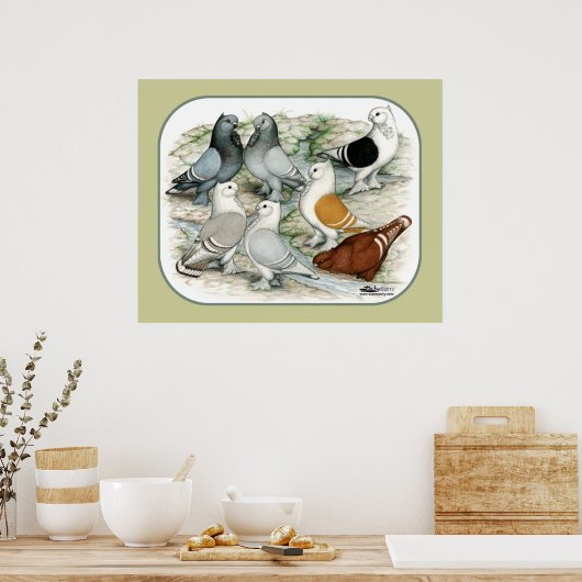 Classic Frill Barred Pigeons Poster (Küche)