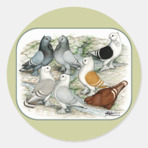 Classic Frill Barred Pigeons Runder Aufkleber