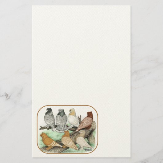 Classic Frill Pigeons Blondinettes Briefpapier (Vorderseite)
