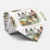 Classic Frill Pigeons Blondinettes Krawatte (Gerollt)