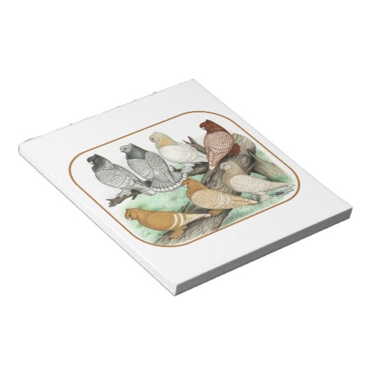 Classic Frill Pigeons Blondinettes Notizblock (angewinkelt)