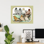Classic Frill Pigeons Blondinettes Poster (Heimbüro)