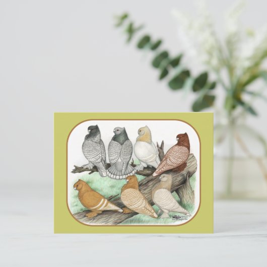 Classic Frill Pigeons Blondinettes Postkarte (Stehend Vorderseite)