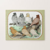 Classic Frill Pigeons Blondinettes Puzzle (Horizontal)