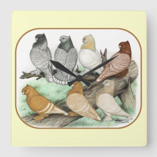 Classic Frill Pigeons Blondinettes Quadratische Wanduhr