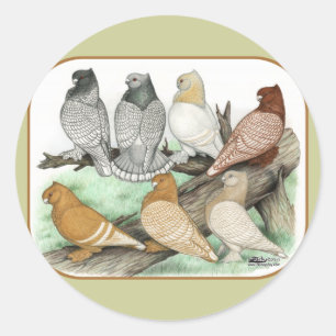 Classic Frill Pigeons Blondinettes Runder Aufkleber
