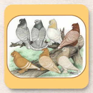 Classic Frill Pigeons Blondinettes Untersetzer