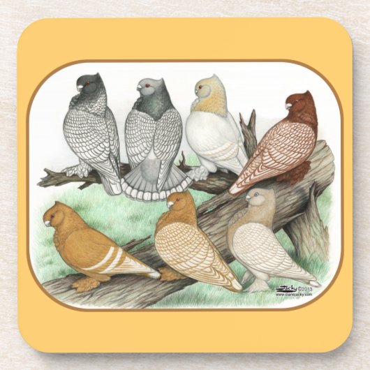 Classic Frill Pigeons Blondinettes Untersetzer (Vorderseite)