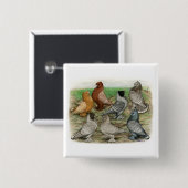 Classic Frill Pigeons Laced Blondinettes Button (Vorne & Hinten)