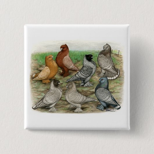 Classic Frill Pigeons Laced Blondinettes Button (Vorderseite)
