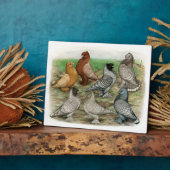 Classic Frill Pigeons Laced Blondinettes Fotoplatte (Seite)