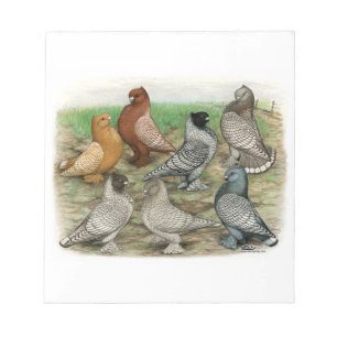 Classic Frill Pigeons Laced Blondinettes Notizblock