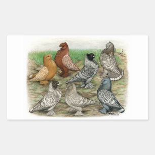 Classic Frill Pigeons Laced Blondinettes Rechteckiger Aufkleber