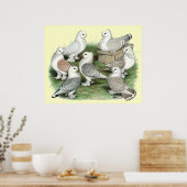 Classic Frill Tauben Poster (Küche)