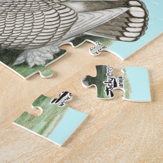 Classic Frill Tauben Puzzle (Seite)