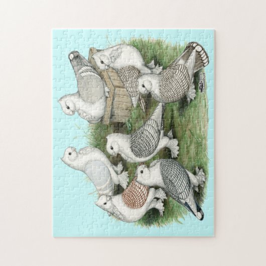 Classic Frill Tauben Puzzle (Vertikal)