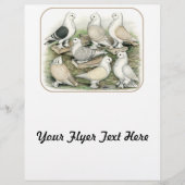 Classic Frill Tauben Satinettes Flyer (Vorne)