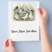 Classic Frill Tauben Satinettes Flyer (Hand)