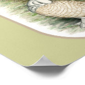 Classic Frill Tauben Satinettes Poster (Ecke)